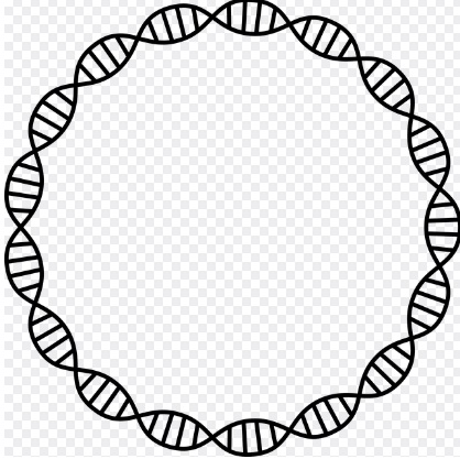 실손 24 : 홈페이지 앱&amp;#44; 간편청구 가이드