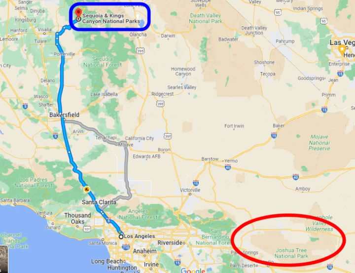 나무가 없는 사막지대