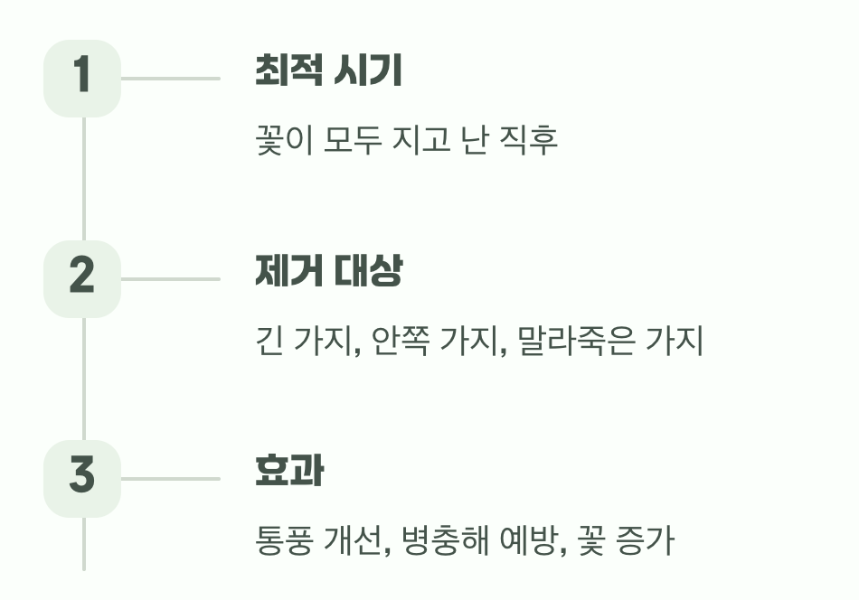 더 풍성한 꽃을 위한 가지치기 비법