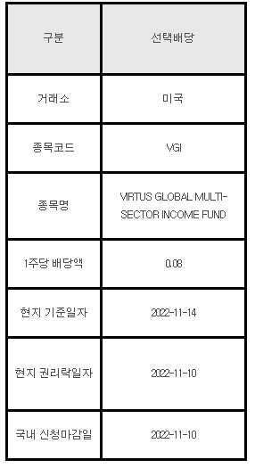 미국주식 선택배당 안내 VGI