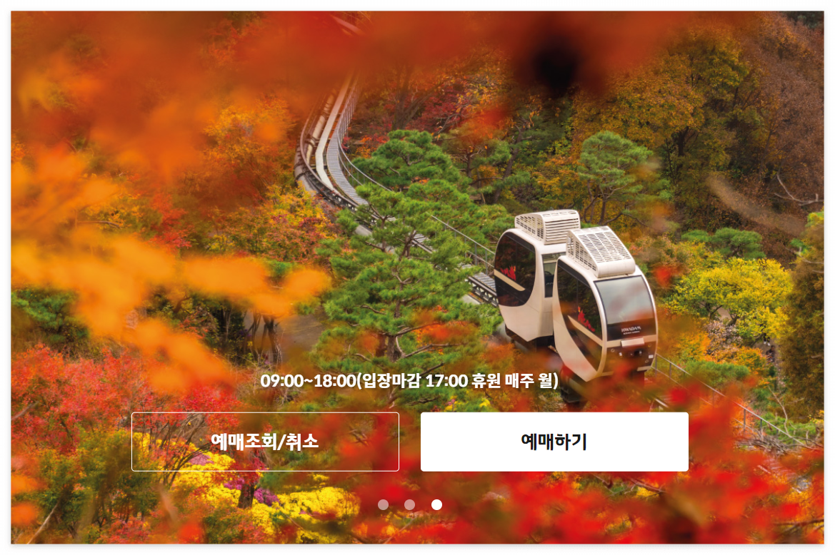 모노레일예매하기