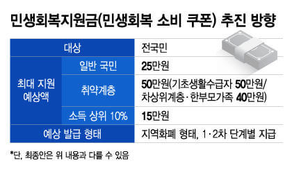 전국민 25만원 민생지원금