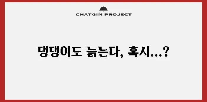 노년기 강아지 치매 이해 변화와 대처가 중요합니다.
