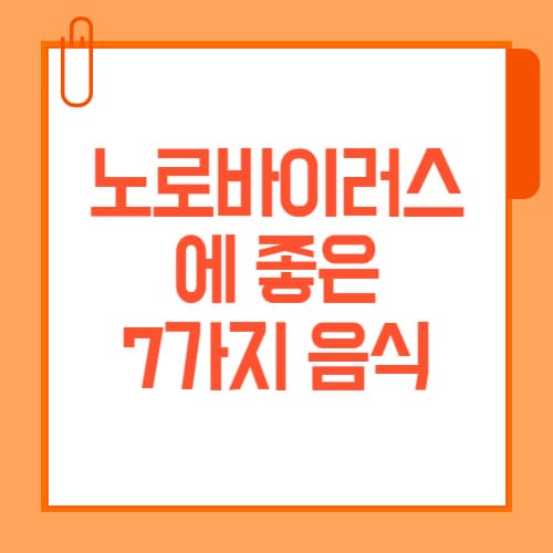 노로바이러스 장염 음식, 좋은 7가지 vs 피해야 할 음식 정리