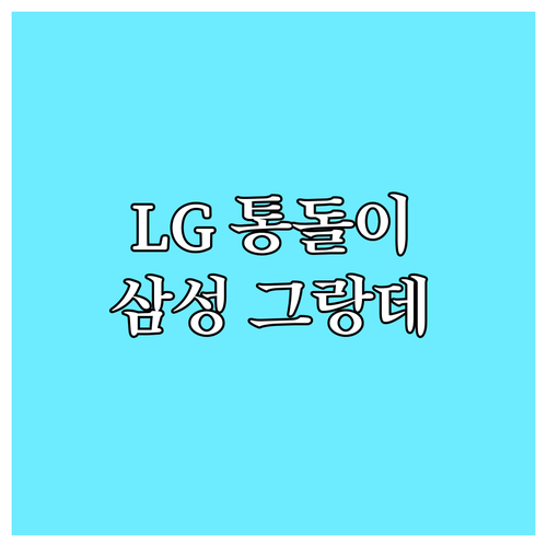 세탁기 구매 가이드 LG 통돌이 vs
