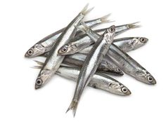 혈관에 좋은 영양제 혈관청소에 좋은 음식&amp;#44; 혈관에 좋은 약초