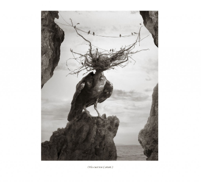 오리올 졸론치의 작품