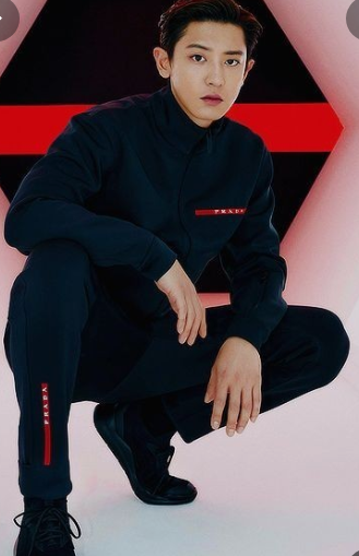 프라다 엠버서더의 저주?