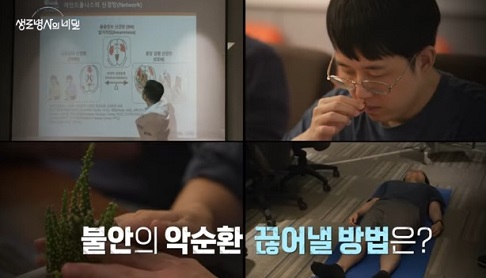인지행동치료