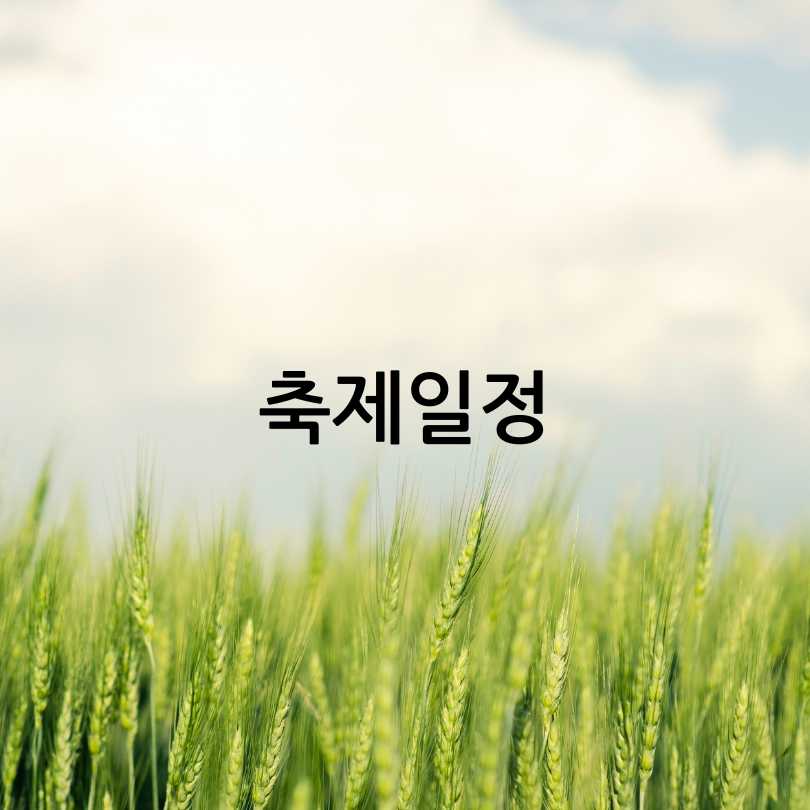 고창 청보리밭 축제 2025