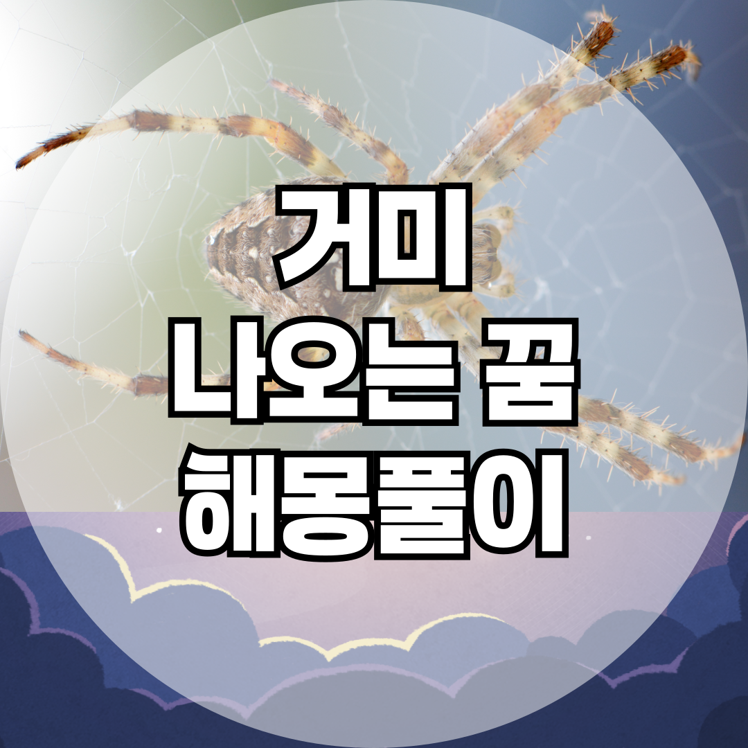 거미 나오는 꿈은 무슨 뜻일까? 상황별 해몽 가이드