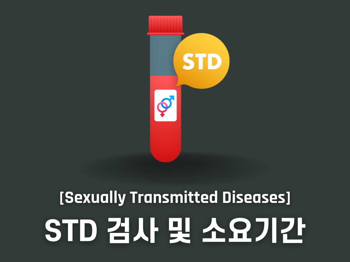 std 검사 결과