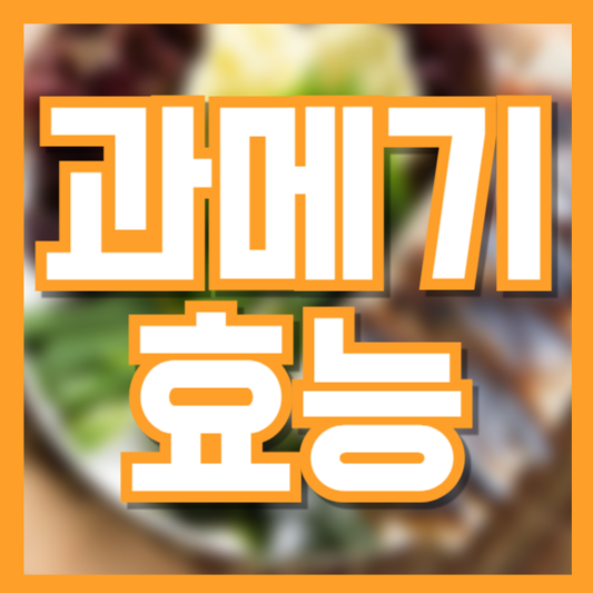 과메기 효능 7가지 오메가3부터 두뇌 건강까지