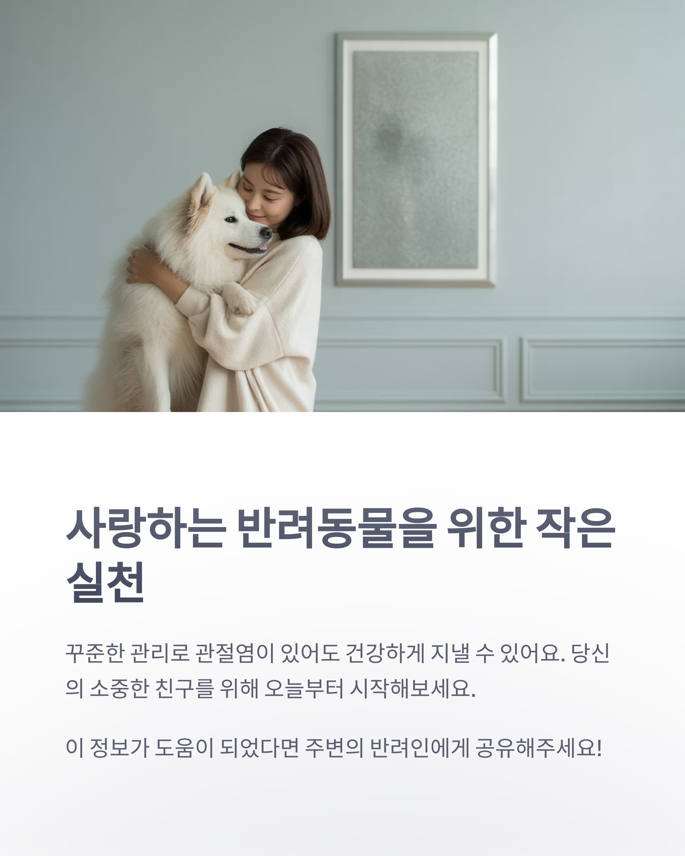 참조-반려동물-관절염-6