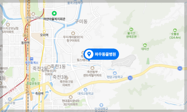 특수반려병원-파우동물병원-지도