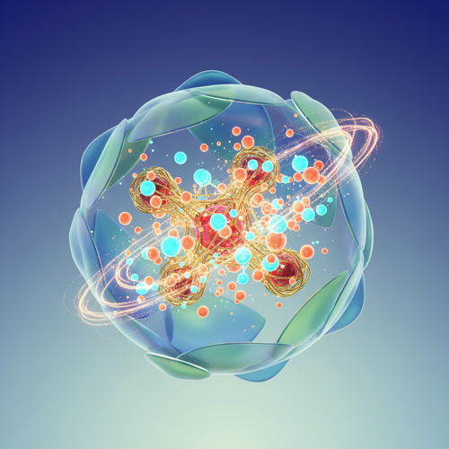 NMN: 젊음을 되찾는 NAD+ 전구체의 힘