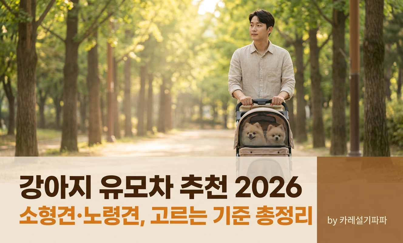 포메라니안 강아지와 산책 유모차