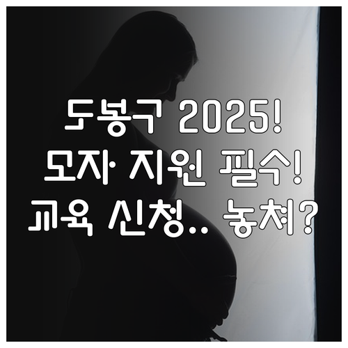 2025 도봉구 모자 건강 증진 지원..