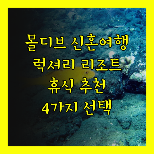 몰디브 신혼여행 리조트 추천 럭셔리