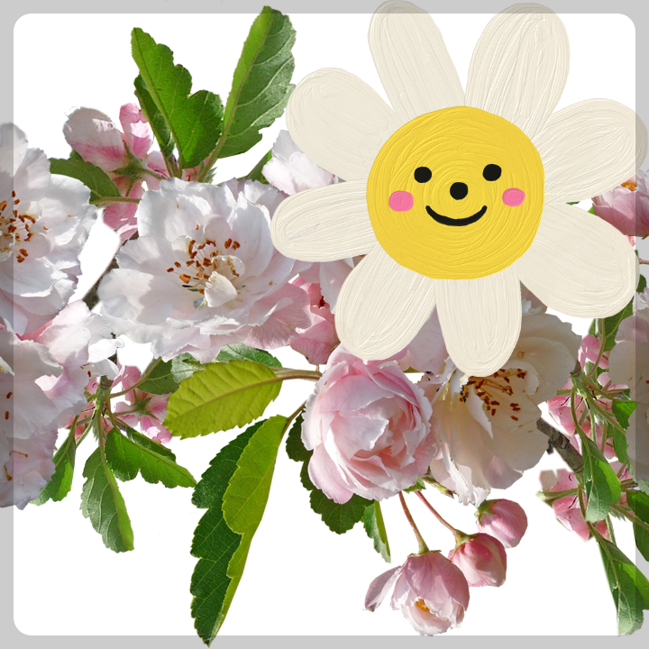 카멜리아힐-입장료