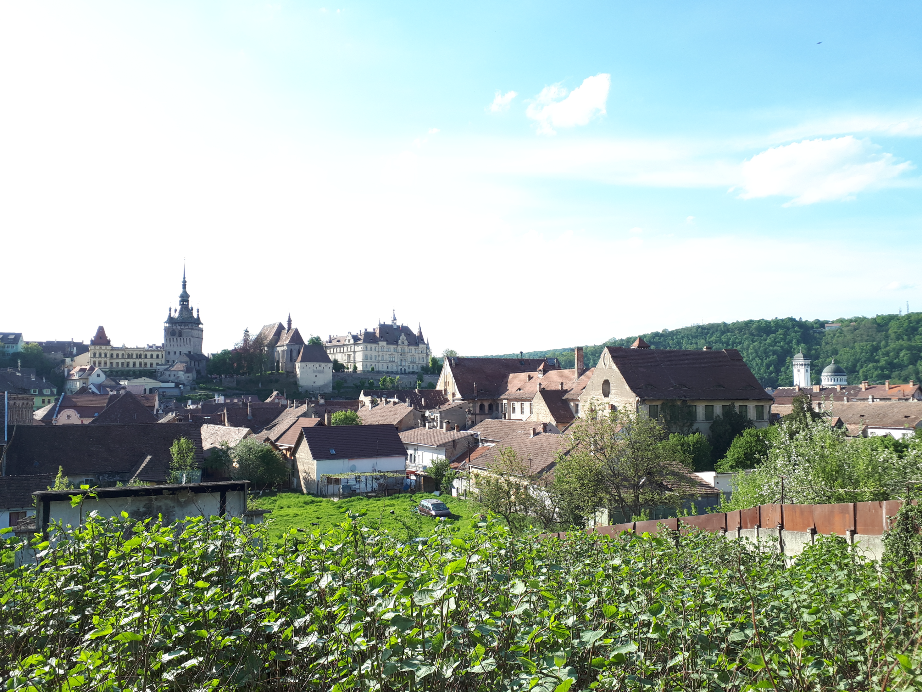 루마니아 시기쇼아라 마을 농작물 재배중에 바라본 시계탑
