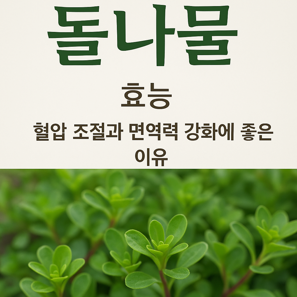 돌나물 효능