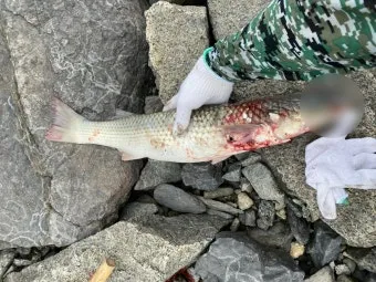 강화도 숭어낚시 최고 포인트 추천 정확한 주소와 주차 정보_7