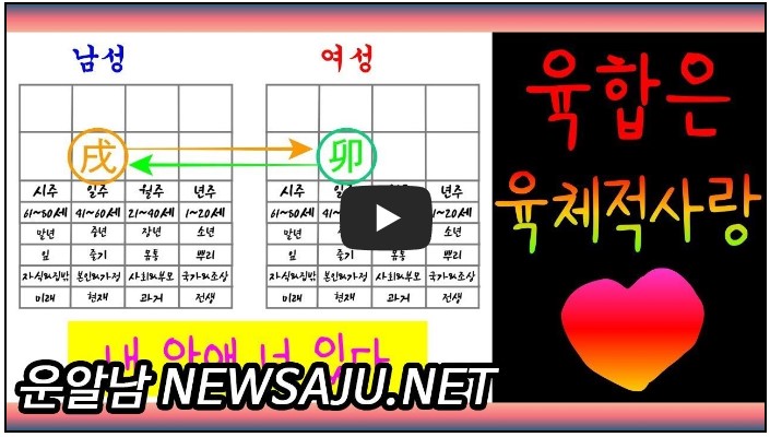 사주 유튜버 순위 TOP 10 7