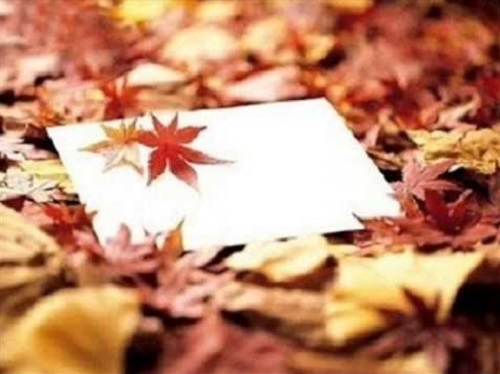 가을편지 김민기 고은 벤 하은 마마무 솔라 전마리