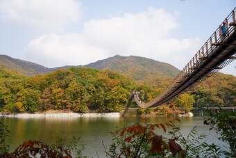 가을 풍경