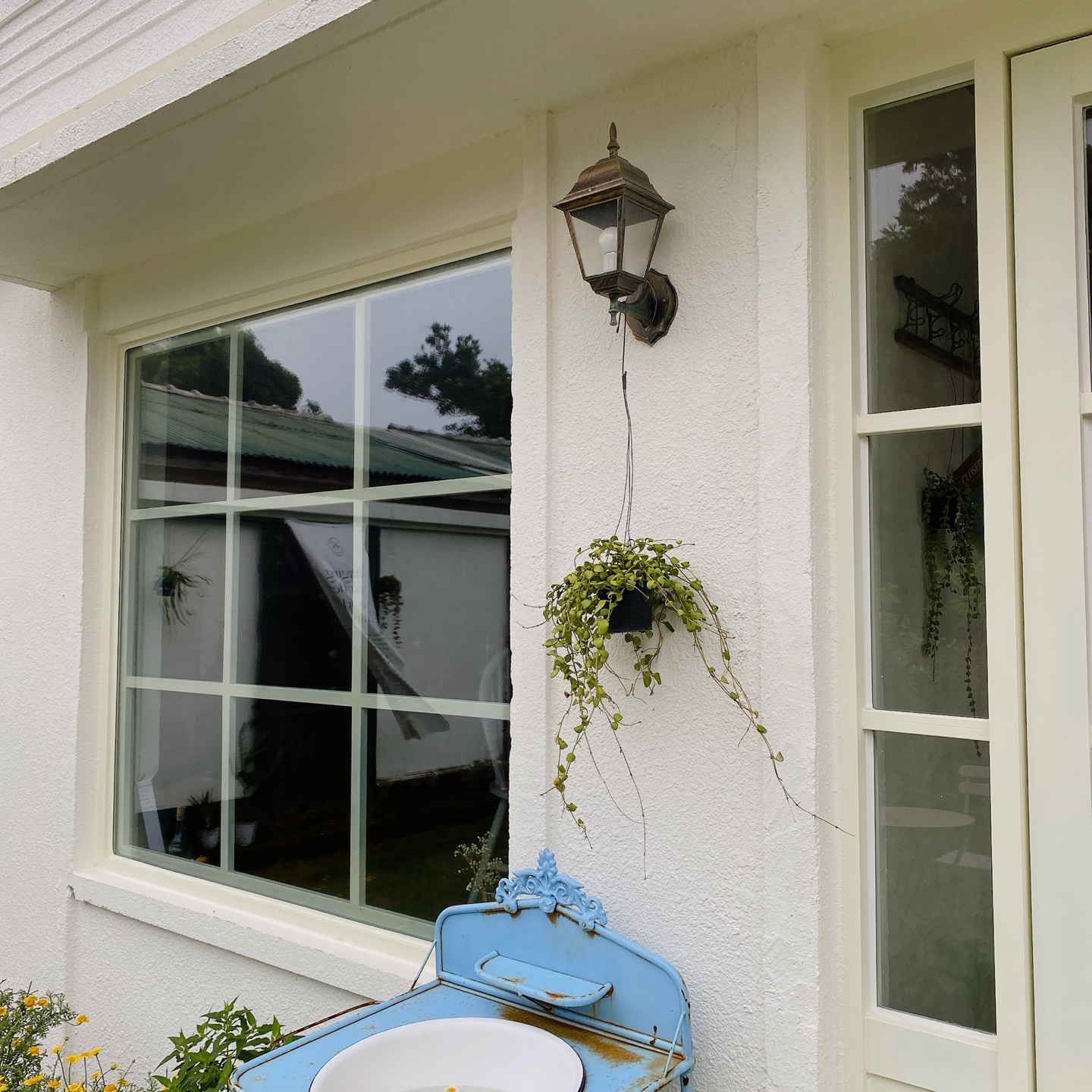 제주 서귀포 표선해수욕장 애견동반 예스키즈존 프렌치토스트 구옥 카페 멜빌 melvile