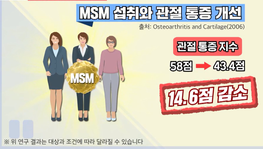 msm의 효능