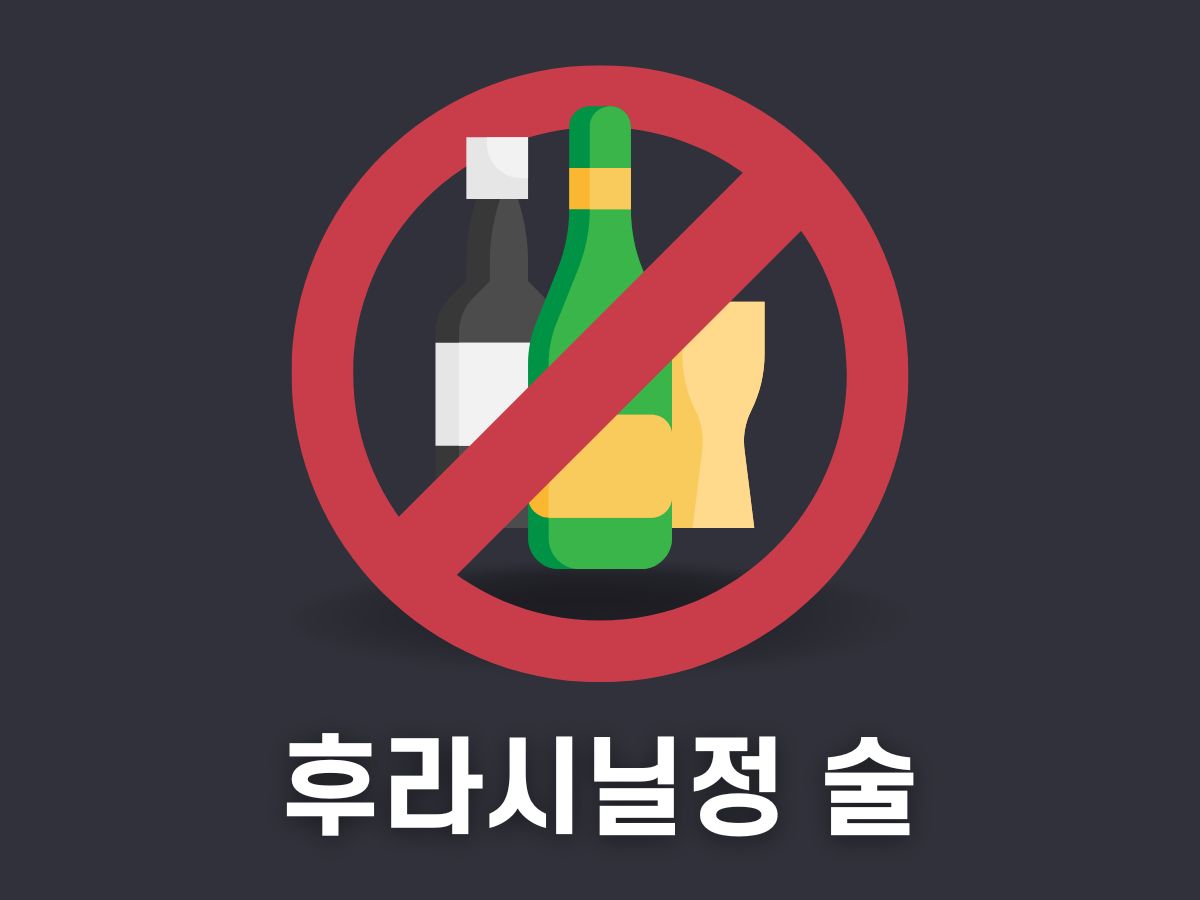 후라시닐정 술