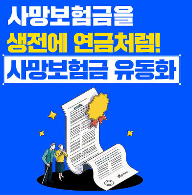 사망보험금 유동화 방안