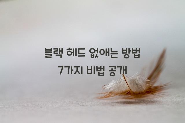 블랙 헤드 없애는 방법