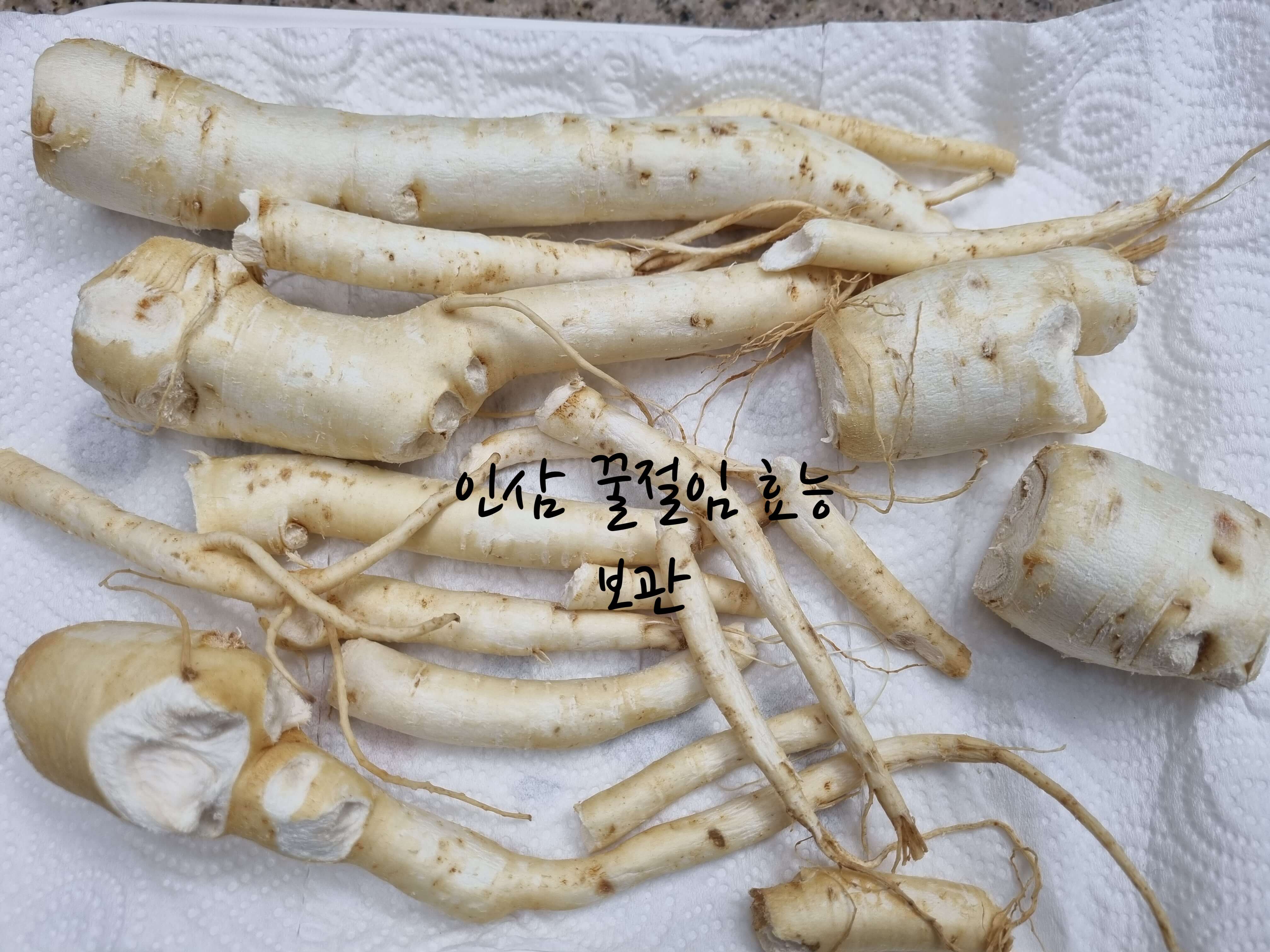 인삼 꿀절임 효능