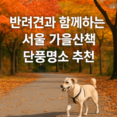 반려견과 함께 떠나는 서울 가을산책 단풍명소 추천 : 북서울꿈의숲·서울숲·반포한강공원