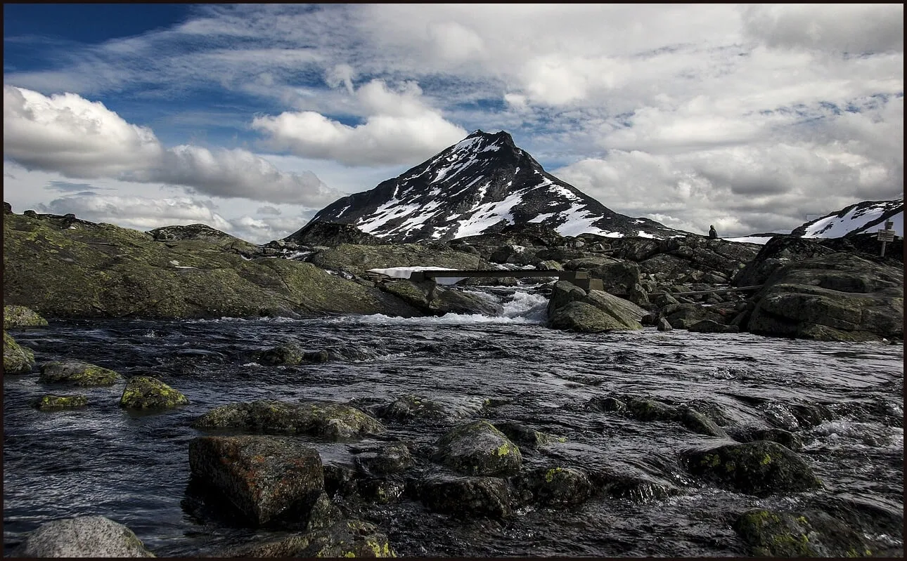 우체국 정기예금 금리
