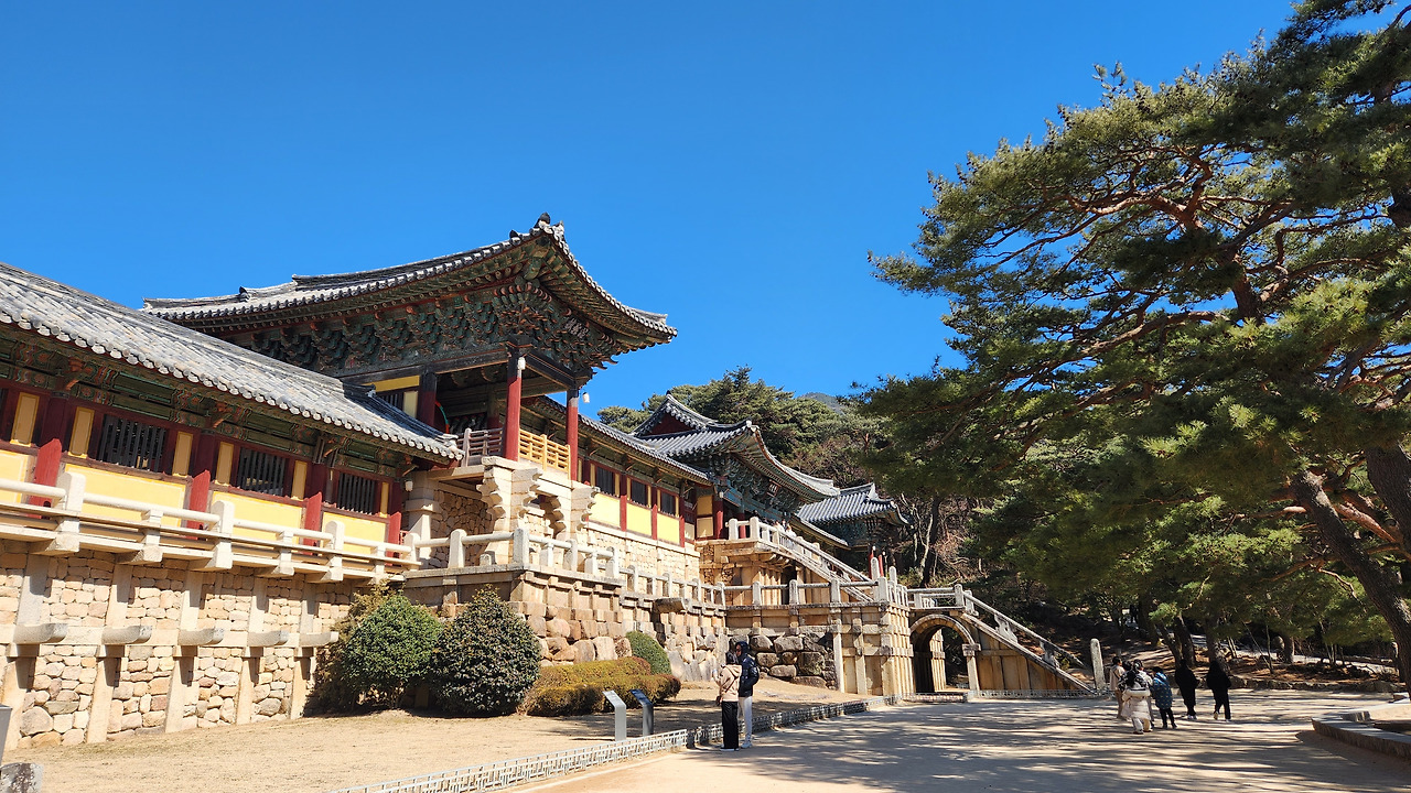 경주 가볼만한 곳 베스트 10 (2025 최신판)