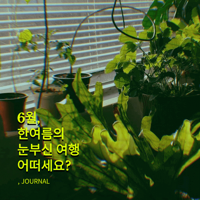 6월 여름 여행하기 좋은 곳 베스트 5 추천