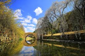 3월 국내 여행지 추천