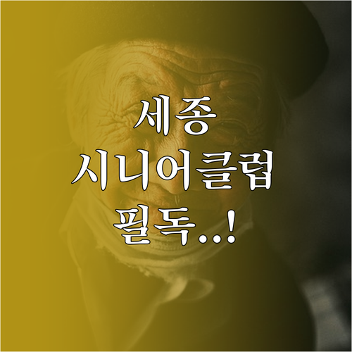 세종시 노인 일자리 지원 전담 기관 ..