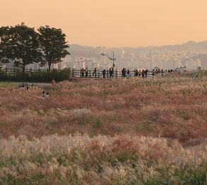 2024년 서울 억새 축제 일정