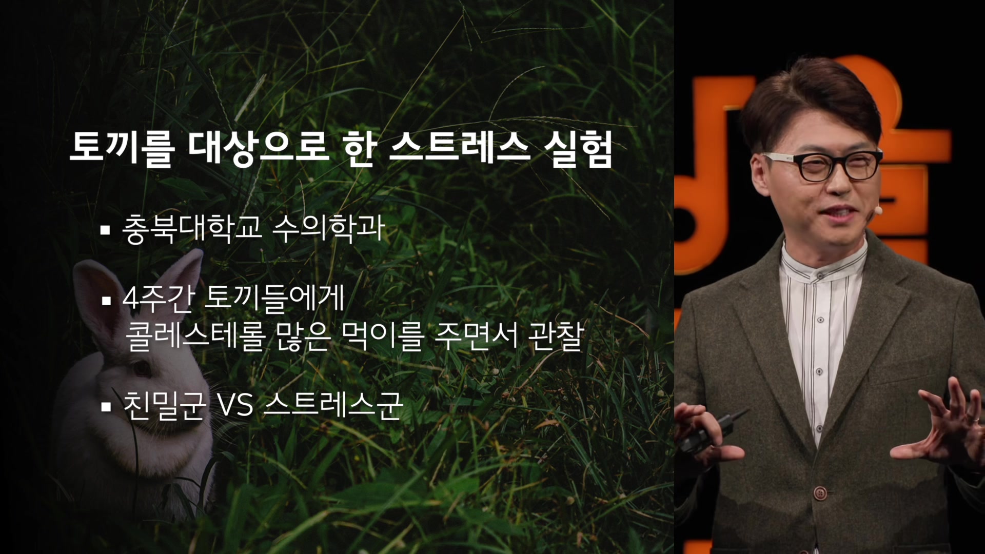 토끼를 대상으로 한 스트레스 실험