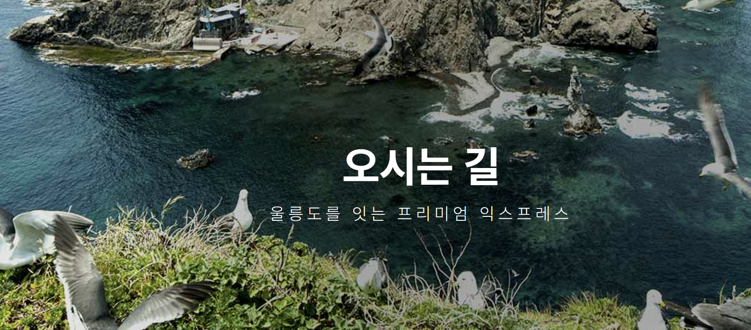 울릉도 배편 예약 총정리