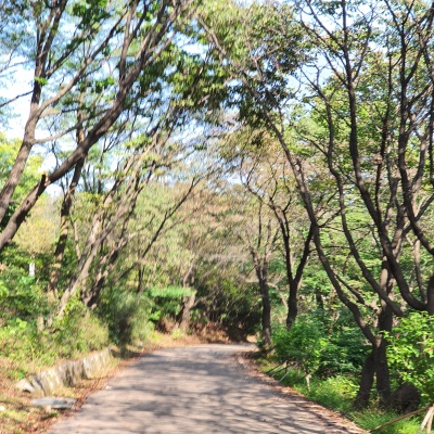 서귀포가볼만한곳고흐의정원입장료