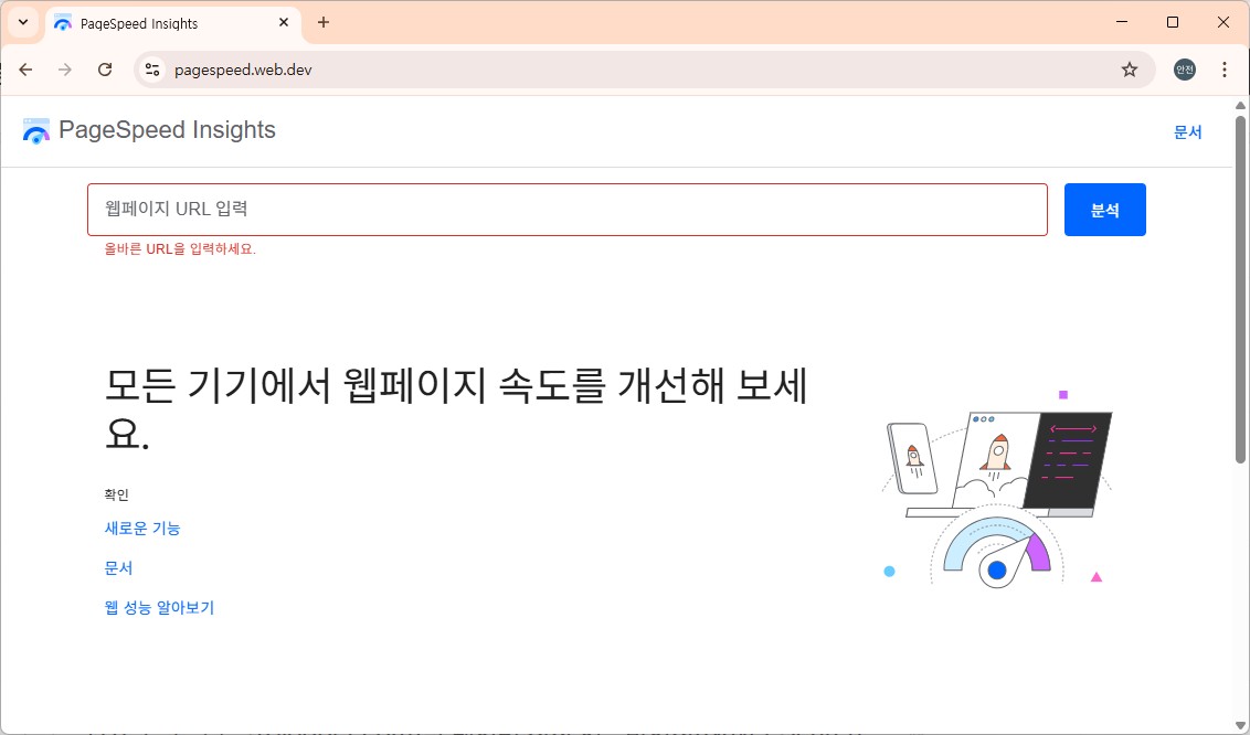 구글 페이지 인사이트 홈페이지 main 캡처 화면