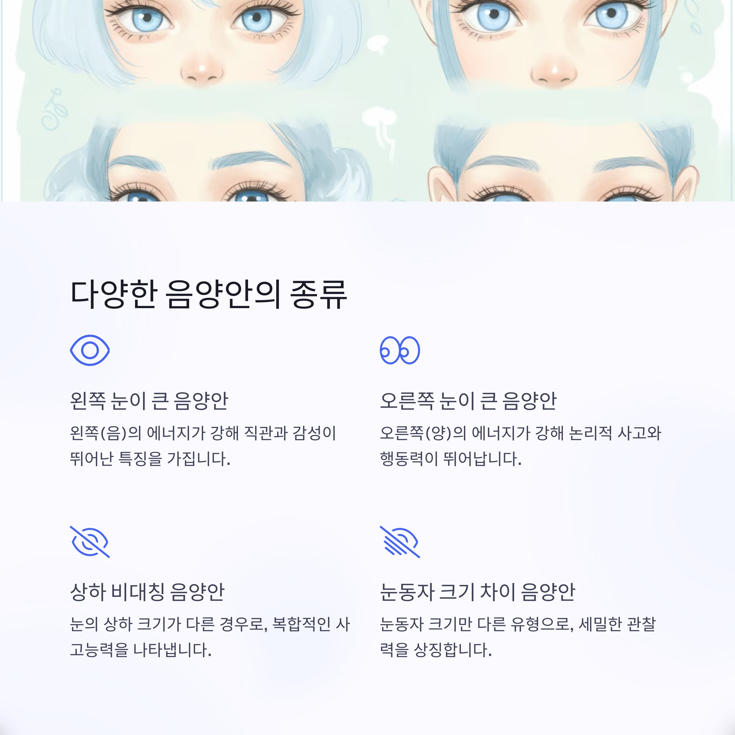 음양안의 주요 유형