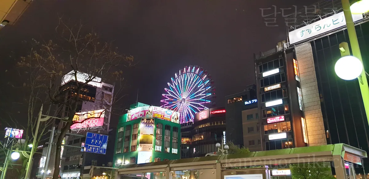 삿뽀로-시내-거리