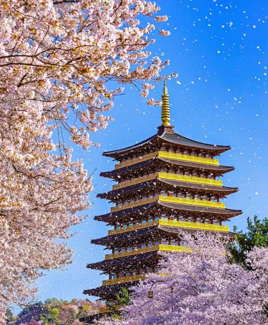 경주